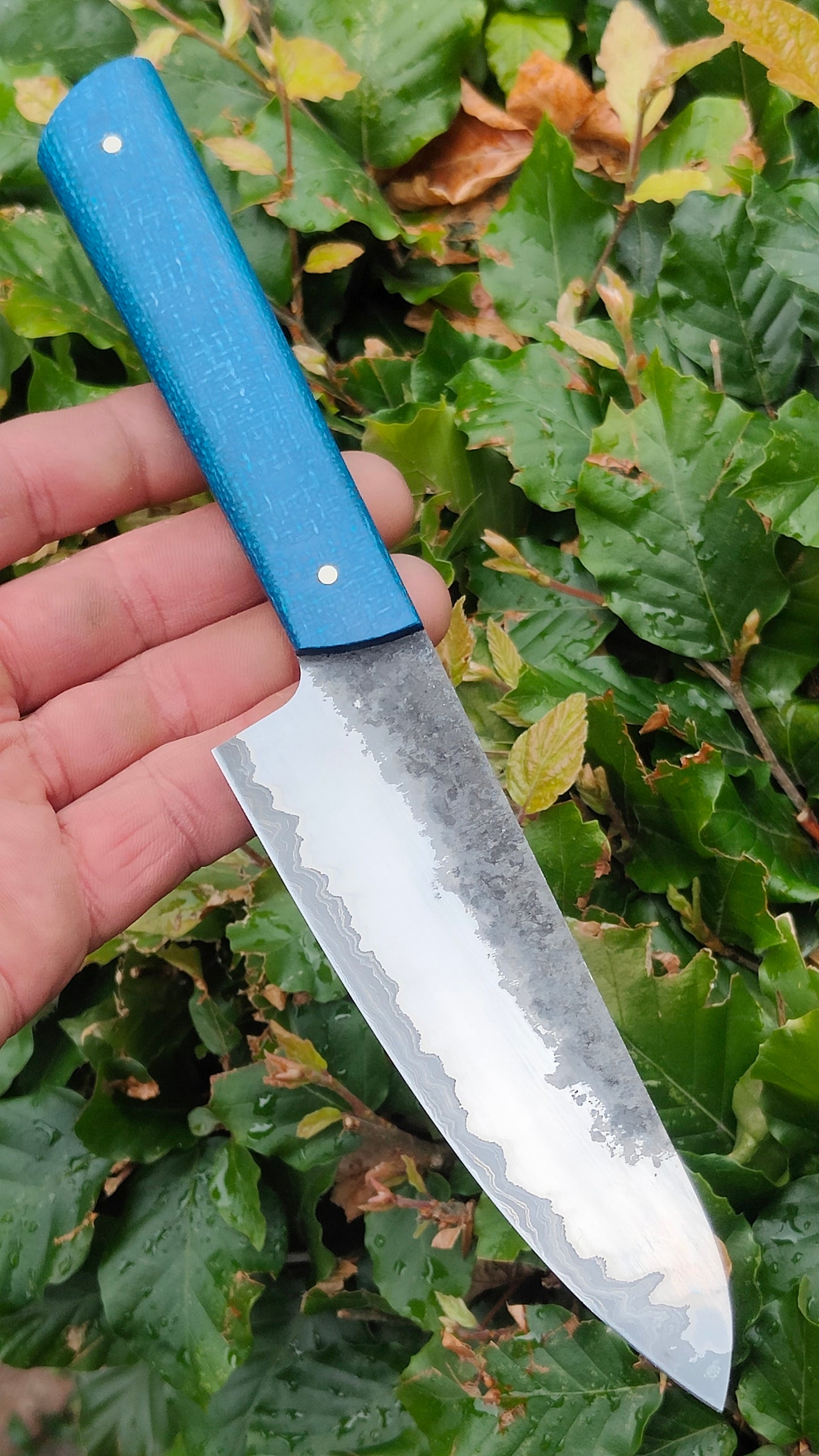 Carbinox 130 full tang kitchen knife